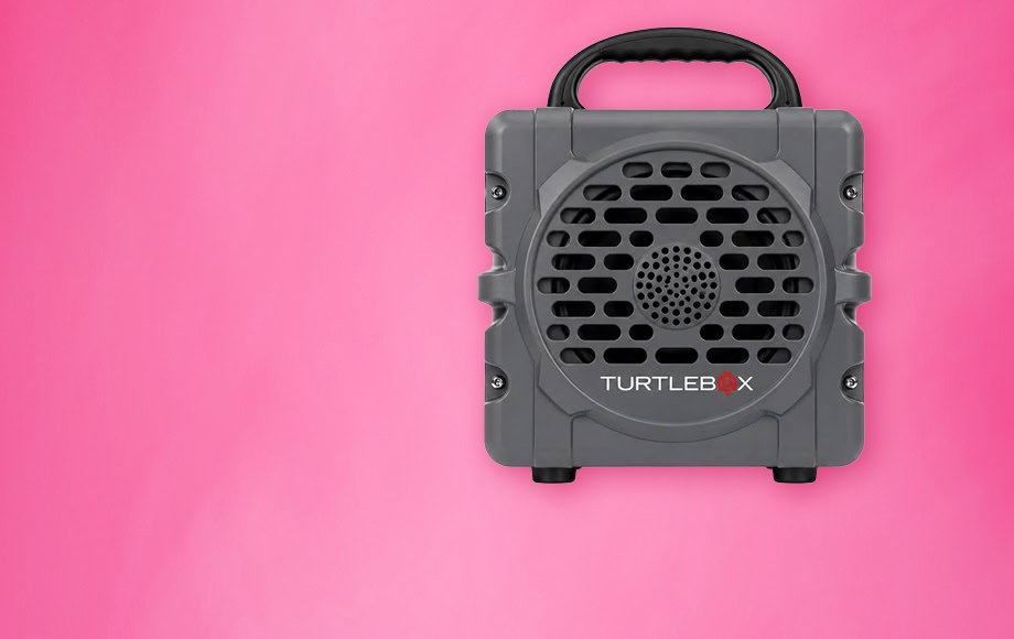 Get a Loan! Get a Turtlebox Cub!